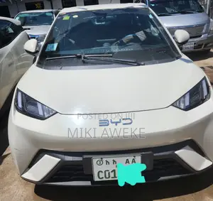 BYD Seagull 2025 White