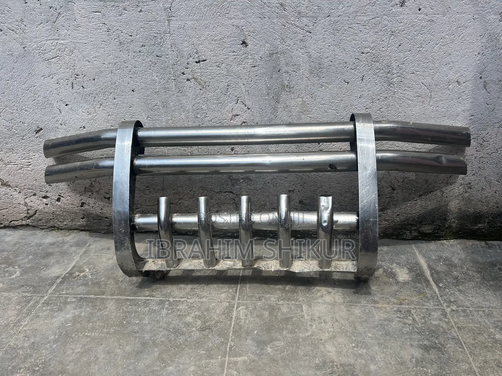 Dolphin Bumper