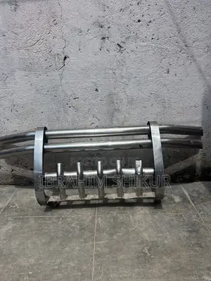 Dolphin Bumper