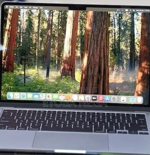 New Laptop Apple MacBook Pro 2020 16GB Apple M1 SSD 256GB