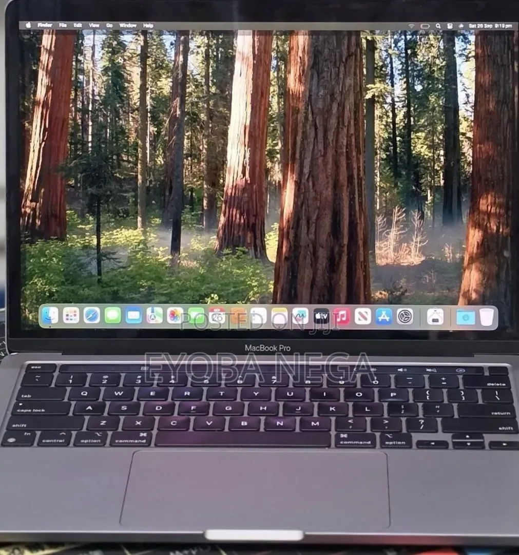 New Laptop Apple MacBook Pro 2020 16GB Apple M1 SSD 256GB