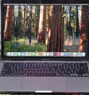 New Laptop Apple MacBook Pro 2020 16GB Apple M1 SSD 256GB