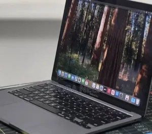 New Laptop Apple MacBook Pro 2020 16GB Apple M1 SSD 256GB