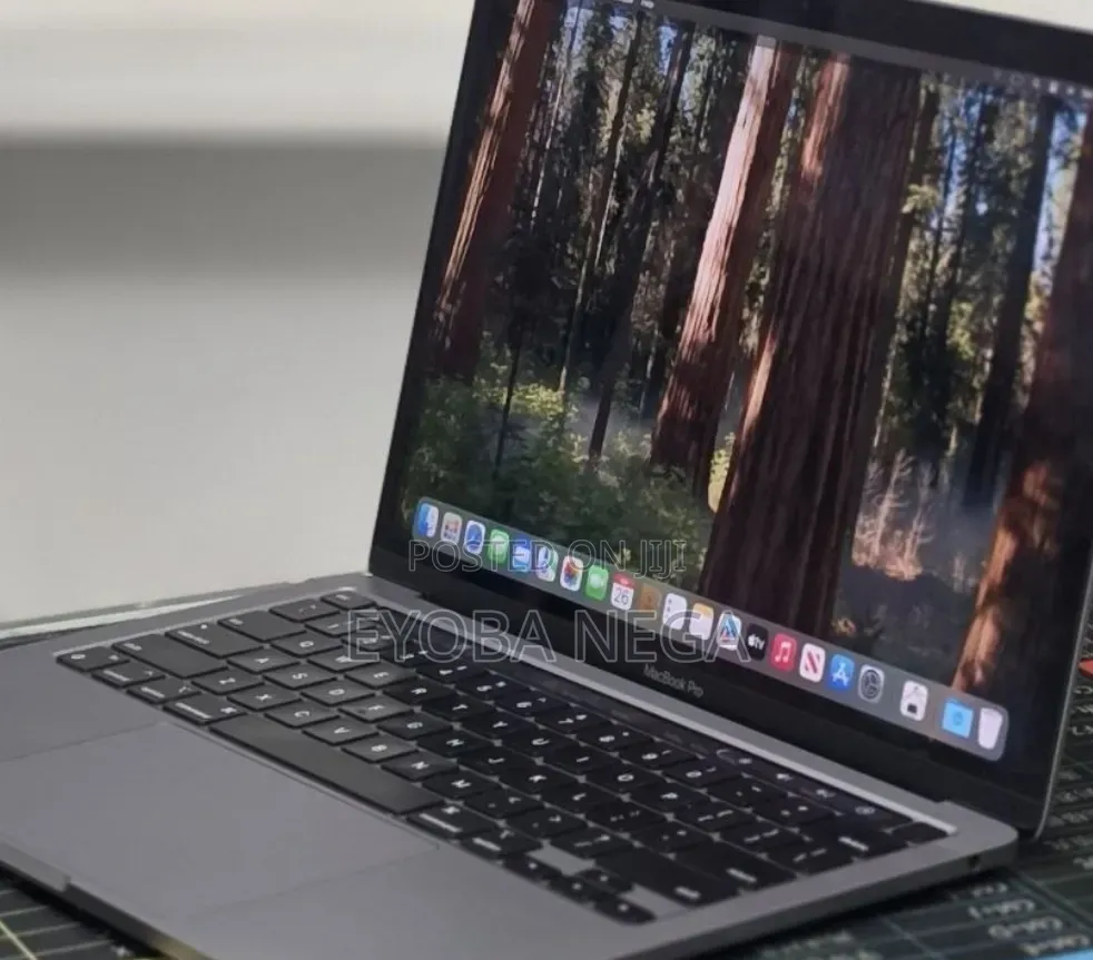 New Laptop Apple MacBook Pro 2020 16GB Apple M1 SSD 256GB