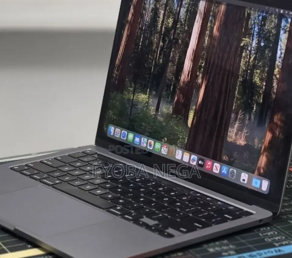 New Laptop Apple MacBook Pro 2020 16GB Apple M1 SSD 256GB