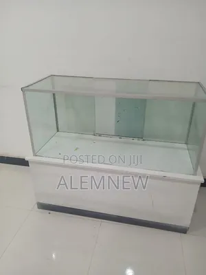 Display for Shopping