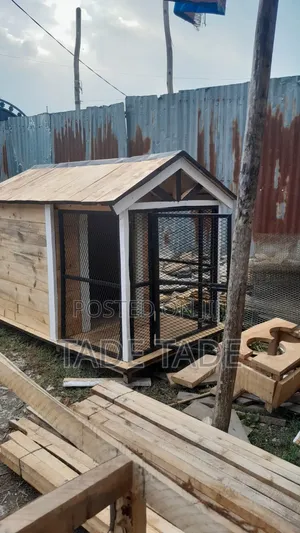 Abel Dog House Pets Work