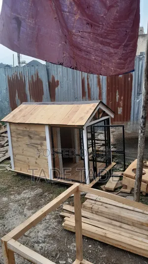 Selamawit Dog House Sell