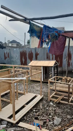 Selamawit Dog House Sell