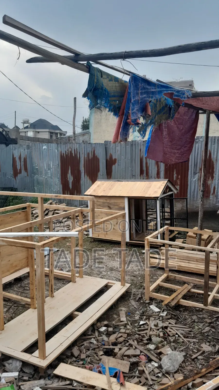 Selamawit Dog House Sell
