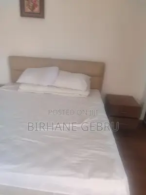 Furnished 4bdrm Apartment in Lxurury Fernished, Yeka for rent