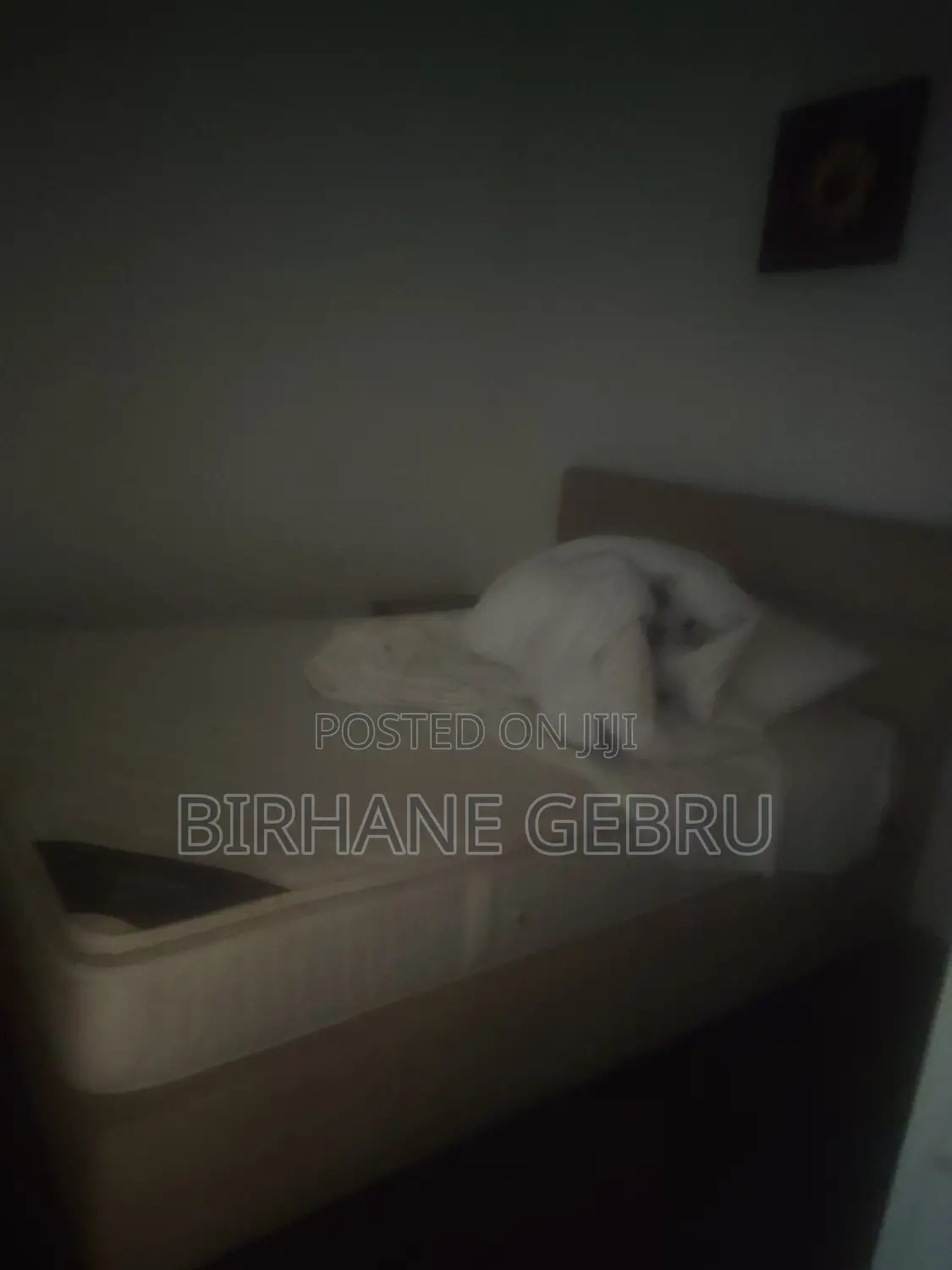 Furnished 4bdrm Apartment in Lxurury Fernished, Yeka for rent
