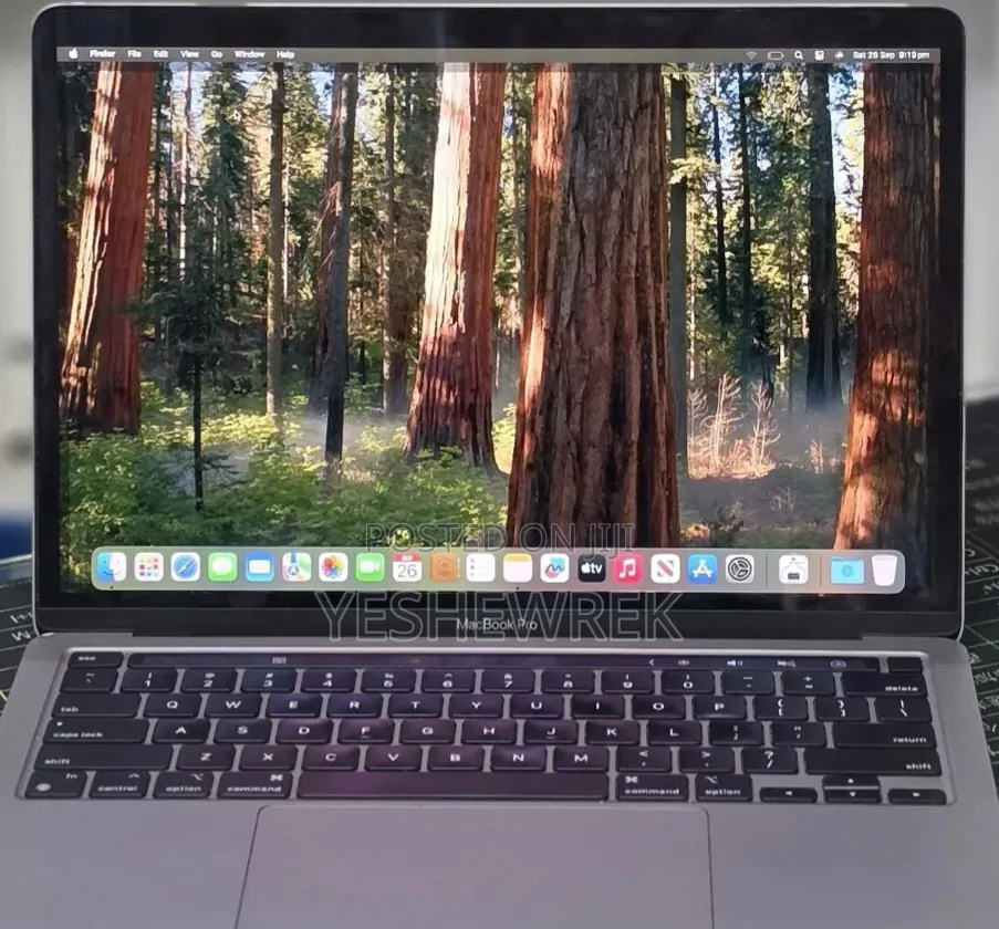 New Laptop Apple MacBook Pro 2021 M1 16GB Apple M1 SSD 256GB