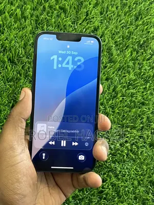 Apple iPhone 13 256 GB Blue