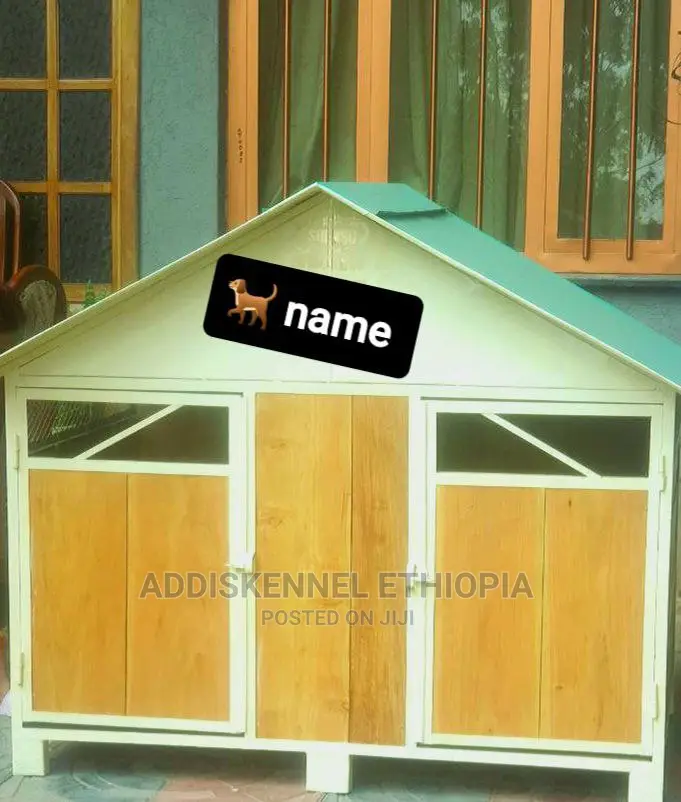 Dog House and Accessories