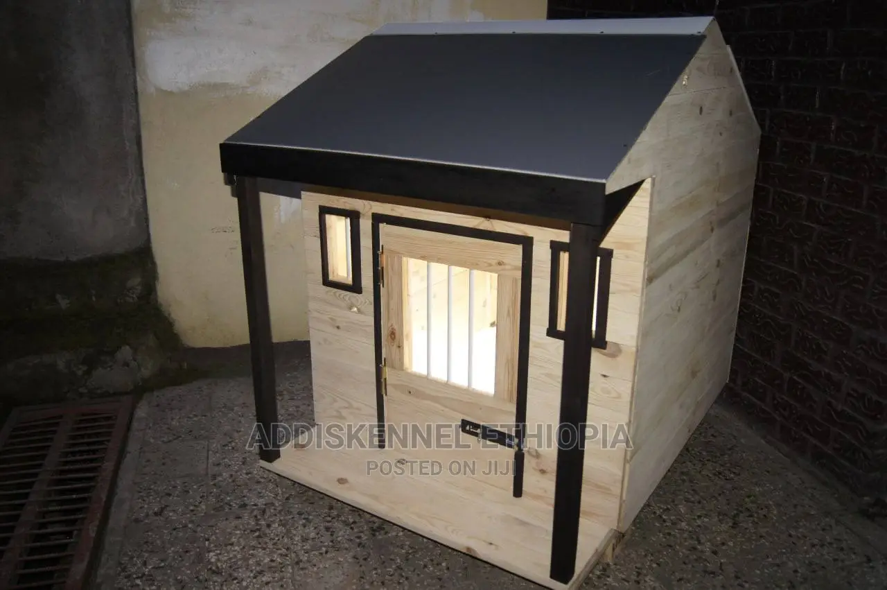 Dog House and Accessories
