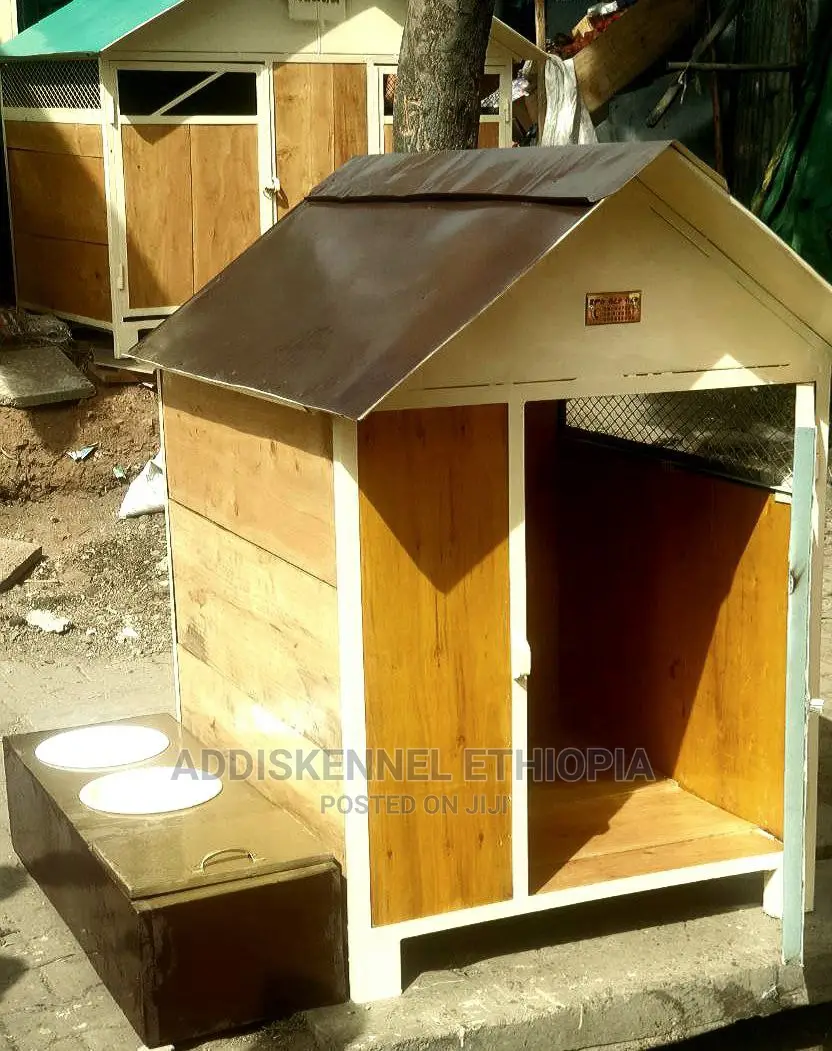 Dog House and Accessories