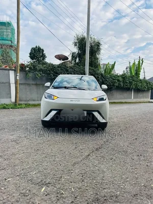 BYD Seagull 2024 Silver