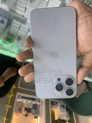 Apple iPhone 15 Pro Max 256 GB Gray