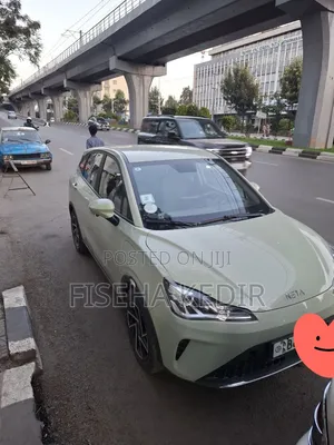 Hozon Neta Aya 2024 Green