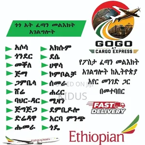 Go Go a.t Express/Logistics.