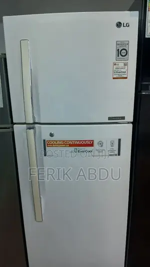 LG Ferig Model 360