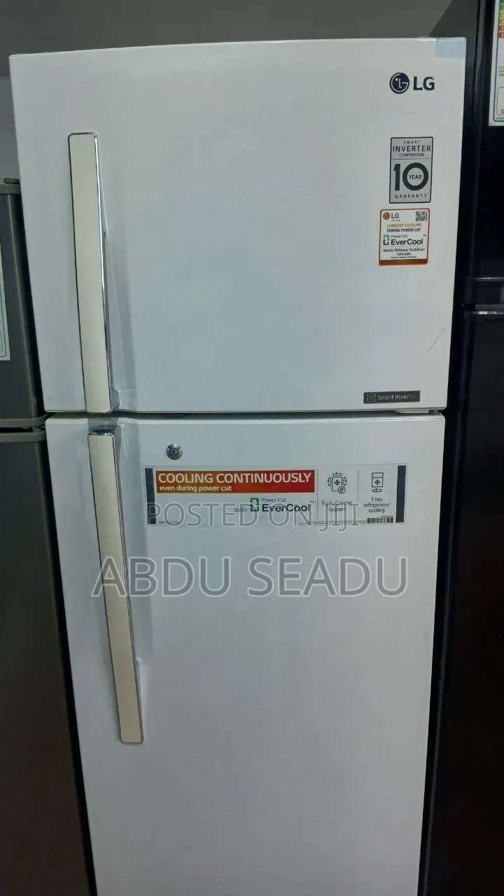LG Ferig Model 360