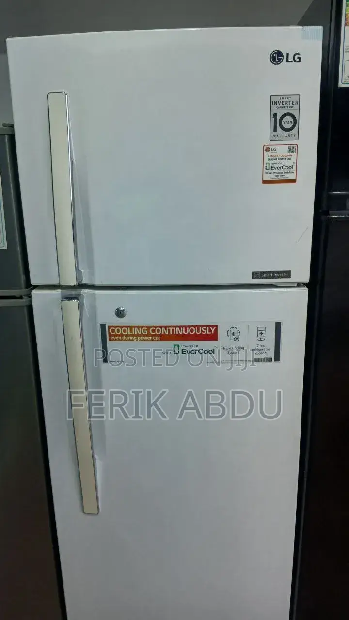 LG Ferig Model 360