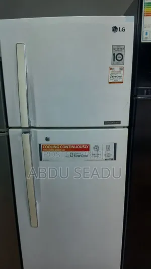 LG Ferig Model 360
