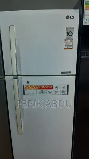 LG Ferig Model 360