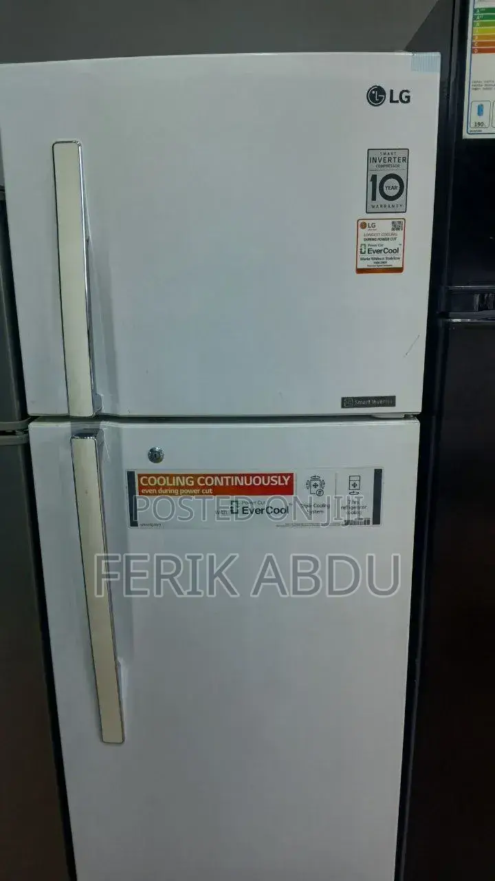 LG Ferig Model 360