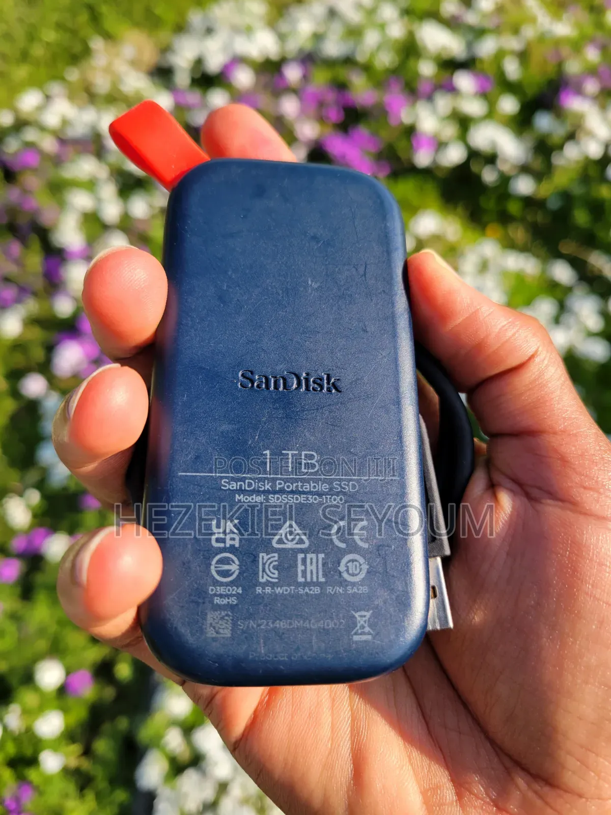 Sand Disk 1TB SSD