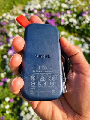 Sand Disk 1TB SSD