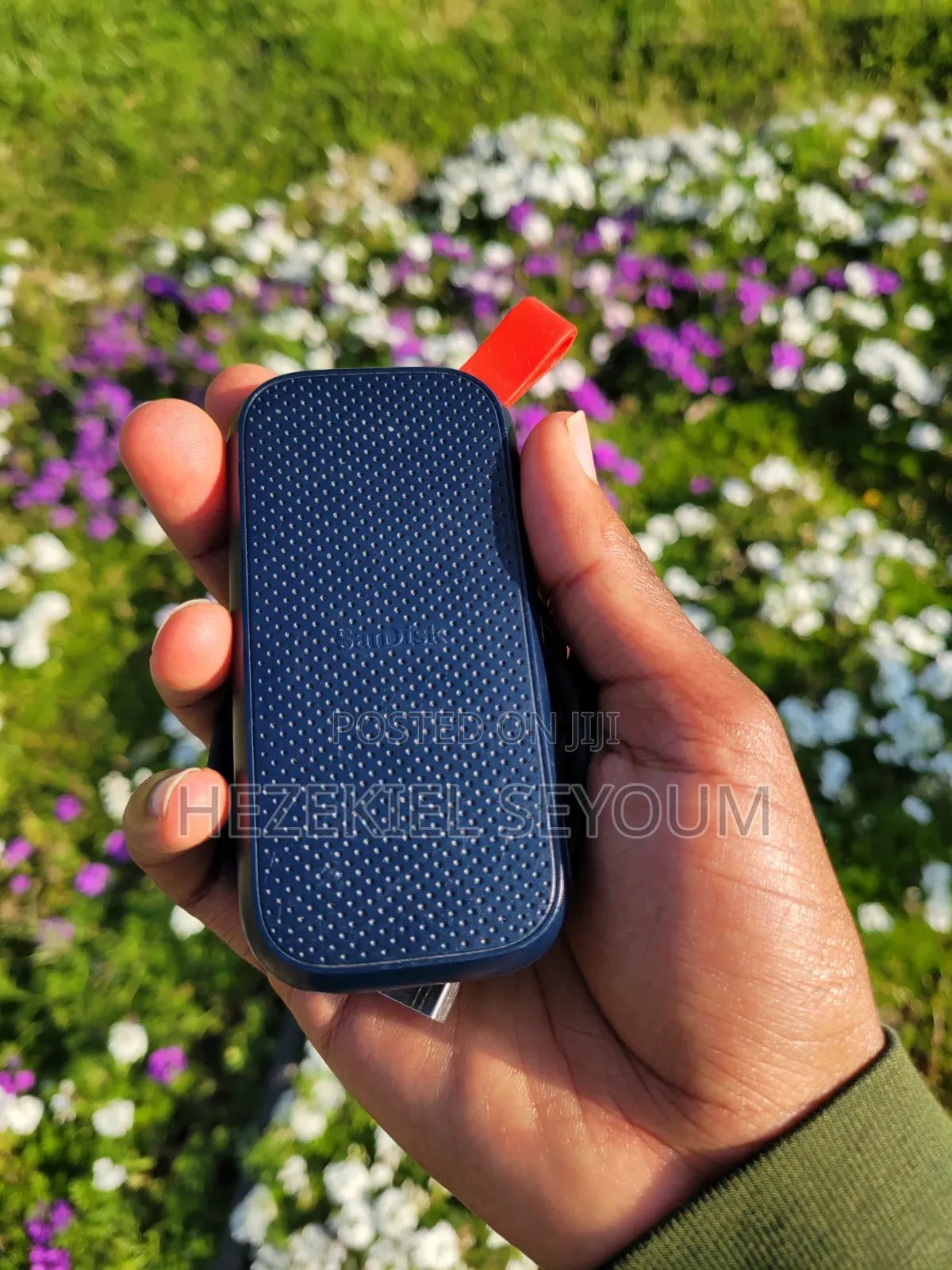 Sand Disk 1TB SSD