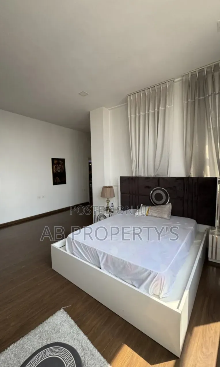 Furnished 2bdrm Penthouse in Bole Ednamol for sale
