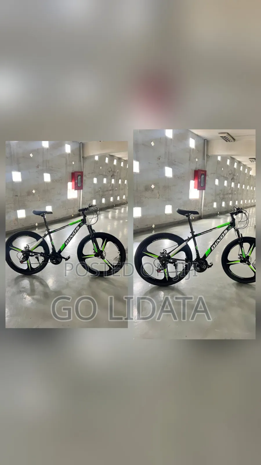 DINOS ተራራ መውጫ እና የስፖርት ሳይክል | DINOS Mountain and Sports Bicycle