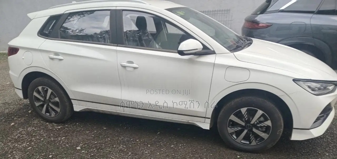 New BYD E2 43 kWh 94 hp FWD 2025 White