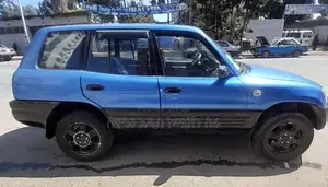 Toyota RAV4 1995 Blue