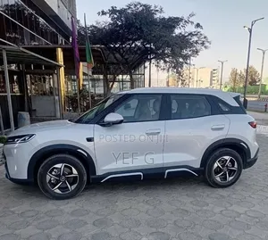 BYD Yuan Up 2025