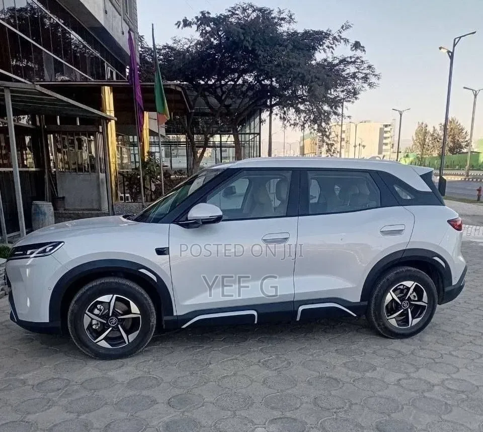 BYD Yuan Up 2025