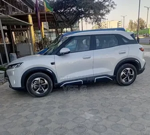 BYD Yuan Up 2025