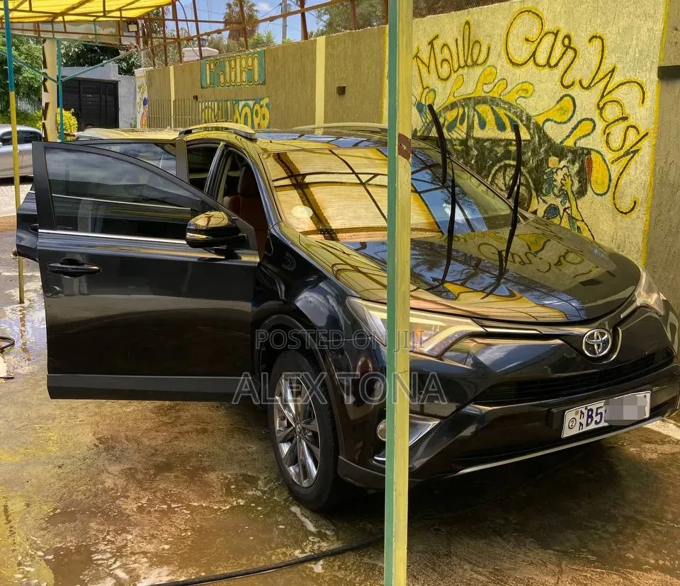 Toyota RAV4 2018 Gray