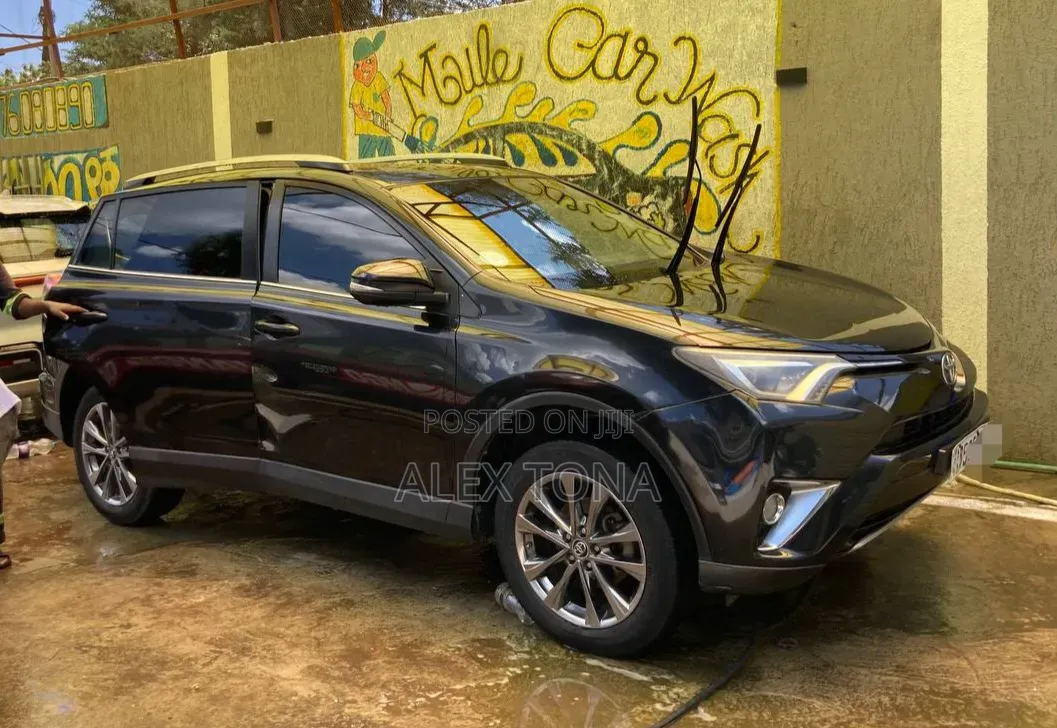 Toyota RAV4 2018 Gray