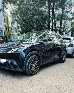 BYD Seagull 2024 Black
