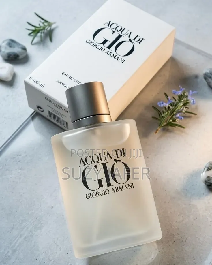 Giorgio Armani ACQUA DI GIO Mens Perfume 100ml
