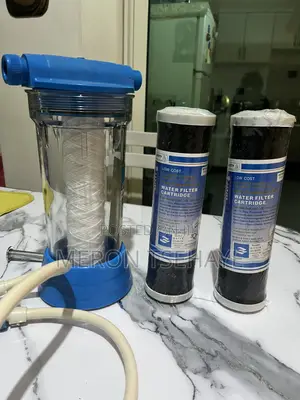 Water Filter With a Replaceable Cartridge
