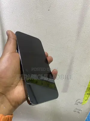Apple iPhone 13 Pro Max 128 GB Green