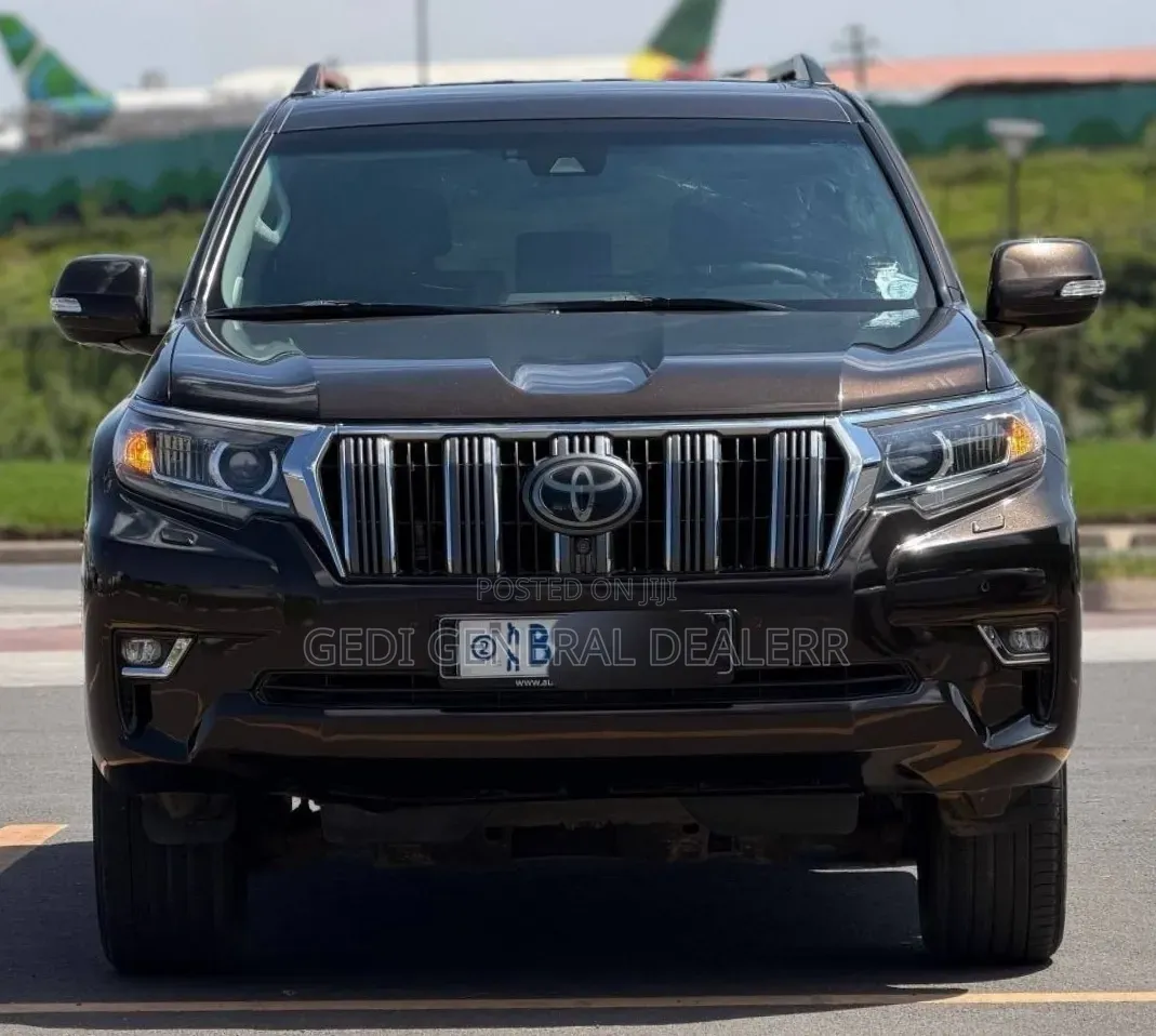 Toyota Land Cruiser Prado 2019 Brown