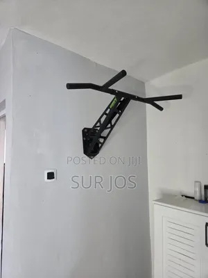 Pullup/Dip Bar