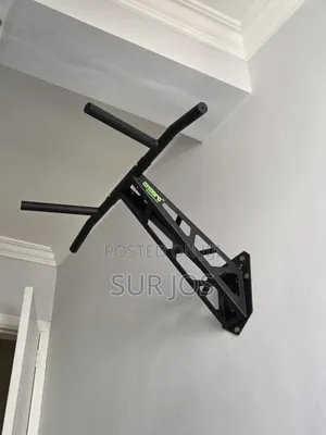 Pullup/Dip Bar